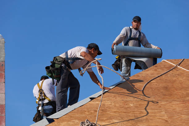 Professional Roofing Contractor in Wauconda, IL